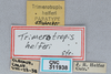 CollectionObject 2765728; 23f42265-2be2-4f8f-8890-02dcc6d12f53, CNCI 311938: (CollectionObject).