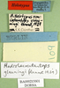 CollectionObject 1501230; 7dbc67e1-283c-4b7c-9693-daded2e462cc: labels (holotype). (CollectionObject).