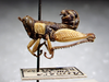CollectionObject 1477705; ad19e0e6-f2fd-42ff-a076-60d855618937: male, lateral view (holotype). (CollectionObject).