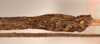 CollectionObject 1558464; 265a6e3d-8035-485c-aba9-aec681d49b9a: copyright OUMNH. male: end of abdomen, lateral view (syntype). (CollectionObject).;CollectionObject 1558465; d166c98e-8403-4894-9ef3-61957b4ef40b: copyright OUMNH. male: end of abdomen, lateral view (syntype). (CollectionObject).