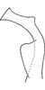 Stylus: Stylus (holotype). (Observation).