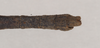 CollectionObject 1560145; NHMUK(SF IMPORT DUPLICATE) 844685, 8adfe78e-06eb-47c2-85fa-a4856868b1a1: copyright Natural History Museum, London. male: end of abdomen, dorsal view (holotype). (CollectionObject).