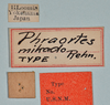 CollectionObject 1561193; e15a0b15-6a04-4cc4-8d19-90d38c185c17: copyright USNM, Washington. (CollectionObject).