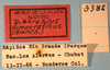 CollectionObject 1514378; 81298960-52e1-4154-8966-2b863b571e2e, MLP3382: labels. (CollectionObject).