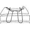 Abdomen, sternal apodemes, ventral view on Diomma (Diomma) katoi Dworakowska, 1981: Abdomen, sternal apodemes. (Observation).
