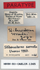 CollectionObject 1573933; 50ab9724-a215-4636-be39-81780696cd80: male, labels (paratype). (CollectionObject).