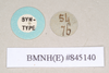 CollectionObject 1575411; NHMUK(SF IMPORT DUPLICATE) 845140, 62a2711a-9312-4093-a60c-8e50ad81f436: copyright Natural History Museum, London. female of synonym Aschipasma catadromus, data labels (paralectotype) [round label reversed]. (CollectionObject).