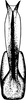 Aedeagus, ventral view on Doratura medvedevi Logvinenko, 1961: Aedeagus, ventral view. (Observation).