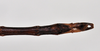 CollectionObject 1558559; d175cf57-13bf-4202-bdc4-79a45254a6cc: copyright NTUC. male: end of abdomen, ventral view (syntype). (CollectionObject).;CollectionObject 1558560; 79f3f8cc-d56f-40aa-b01f-edb53ef13999: copyright NTUC. male: end of abdomen, ventral view (syntype). (CollectionObject).