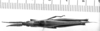 CollectionObject 1521495; a55de16e-c17d-4f8d-9cd1-c325aa984cec: Image Carbonell, C.S. female, dorsal view (syntype). (CollectionObject).