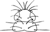 Nymph: (Observation).