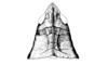 Crites prestoni Rehn, 1942: Fig. 162. female head and pronotum, dorsal view. (Otu).