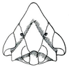 Head: Cochlorhinus pluto, face. (Observation).