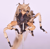 CollectionObject 1544657; 857b6e6f-521f-4a1f-96d0-335f37bfeba1: male, frons (holotype). (CollectionObject).