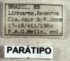 CollectionObject 1580115; 7eab2c46-da06-47a2-9152-d712abe3c5fb: labels (paratype). (CollectionObject).