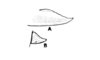 Jivarus alienus (Walker, 1870): Fig. 176. female, ventral ovipositor valve and cercus. (Otu).