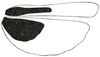 Erianthella formosana (Shiraki, 1910): Fig. 57. comparison of wings of macropterous and brachypterous male (in black). (Otu).