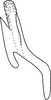 Aedeagus, lateral view: Aedeagus (paratype of E. micheneri Hepner), lateral view. (Observation).