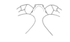 Micropaon lucens Descamps & Rowell, 1984: Fig. 16. male head, dorsal view. (Otu).