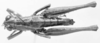 CollectionObject 1524847; 1935f43c-bc35-4133-89f9-6ef2ac78400e: male, dorsal view (holotype). (CollectionObject).