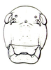 Prostalia granulata (Stål, 1873): Fig. 26.4. female face. (Otu).