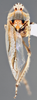 Habitus, dorsal view: !! display not done !! on Scaphytopius n. sp. PE30: Scaphytopius Ball, 1931: (Observation).