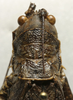 female pronotum dorsal (syntype). Depicts CollectionObject 1535957; cddf7e57-cbd4-435c-8c56-8686c81349e3, a CollectionObject.