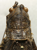 CollectionObject 1535957; cddf7e57-cbd4-435c-8c56-8686c81349e3: female pronotum dorsal (syntype). (CollectionObject).