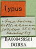 CollectionObject 1478192; 5b03f636-d1b6-4218-b0c9-b7b1e43f6019: labels (holotype). (CollectionObject).
