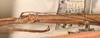 CollectionObject 1560287; 39f9c2f8-46d5-47f7-a05c-5db2c414b514: copyright OUMNH. female: head and thorax, lateral view (syntype). (CollectionObject).