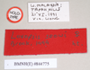 CollectionObject 1559595; NHMUK(SF IMPORT DUPLICATE) 844775, 338a2be8-f9cc-4214-8b77-676734117d15: copyright Natural History Museum, London. female, data labels (holotype). (CollectionObject).