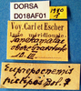 CollectionObject 1568972; dccada39-b8d1-4c83-8d64-9425bdfac15c: labels. (CollectionObject).