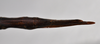 CollectionObject 1558568; NTUC 732, c9758454-56c2-43fd-92c2-00b2d31b54ab: copyright NTUC. female: end of abdomen, dorsal view (holotype). (CollectionObject).