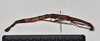 CollectionObject 1561664; NTUC 709, de4ff78e-e94d-4e85-8b94-37b567dfe607: copyright NTUC. female, lateral view (holotype). (CollectionObject).