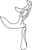 Aedeagus, lateral view on Chelidinus cinerascens Emeljanov, 1962: (Observation).