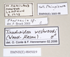 CollectionObject 1563490; de07c452-751f-4685-9c42-1435f6cd9768: copyright natural History Museum, London. (CollectionObject).;CollectionObject 1563491; 50291e33-5ce1-404b-be41-102db5fb136b: copyright natural History Museum, London. (CollectionObject).