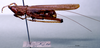 CollectionObject 1503262; 50bda0fb-7777-4eee-b561-a2549de17ec9: male, lateral view. (CollectionObject).