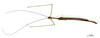 CollectionObject 1560582; ee31b6f5-a407-4899-a2c9-eb42d05ef24d: copyright MNHN, Paris. male Ocellata chaperi (holotype). (CollectionObject).