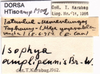 CollectionObject 1507110; e0adbaf9-f6a7-44d4-b7f8-93e0262e6e1f: labels. (CollectionObject).