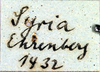 CollectionObject 1583462; b6af8ea9-2df1-4170-b12f-151e843fdb91: label. (CollectionObject).