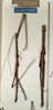 CollectionObject 1559439; NMW 490, 1b12f775-b409-4fa3-920e-c814fcca316f: copyright NMW, Vienna. male (holotype). (CollectionObject).