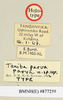 CollectionObject 1518518; 246b388d-b89b-419b-bd39-79d9fef4788b: labels (holotype). (CollectionObject).