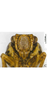 Head: !! display not done !! on Bambusicaliscelis fanjingensis Chen & Zhang, 2011: face. (Observation).