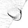 Hind wing.: Seventh marginal tubercle of A. pomi. (Observation).