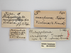 CollectionObject 1863344; a7119772-aff1-4efb-a780-bbb60a734b7e: (CollectionObject).