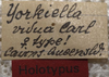 CollectionObject 1505902; dc81cfb3-7470-4947-9e55-0cfebf6205ae: labels (holotype of Yorkiella vidua). (CollectionObject).