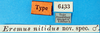 CollectionObject 1500177; a5ee366d-9d17-4d22-873a-f066a06453a0: labels (syntype). (CollectionObject).