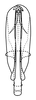 Aedeagus, posterior view on Coarctana nigromedia Domahovski & Cavichioli, 2023: Male holotype [DZUP]: aedeagus, posterior view. (Observation).