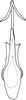 Aedeagus, ventral view on Anufrievia jinghongensis Cao & Zhang, 2018: Aedeagus, ventral view. (Observation).