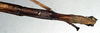 CollectionObject 1558179; NMW 869', d553eec1-147f-4418-9c41-cbc91257ac34: copyright NHMW, Vienna. female: end of abdomen, ventral view of synonym Acrophylla aliena (paralectotype) [a misidentified example of Ctenomorpha marginipennis]. (CollectionObject).